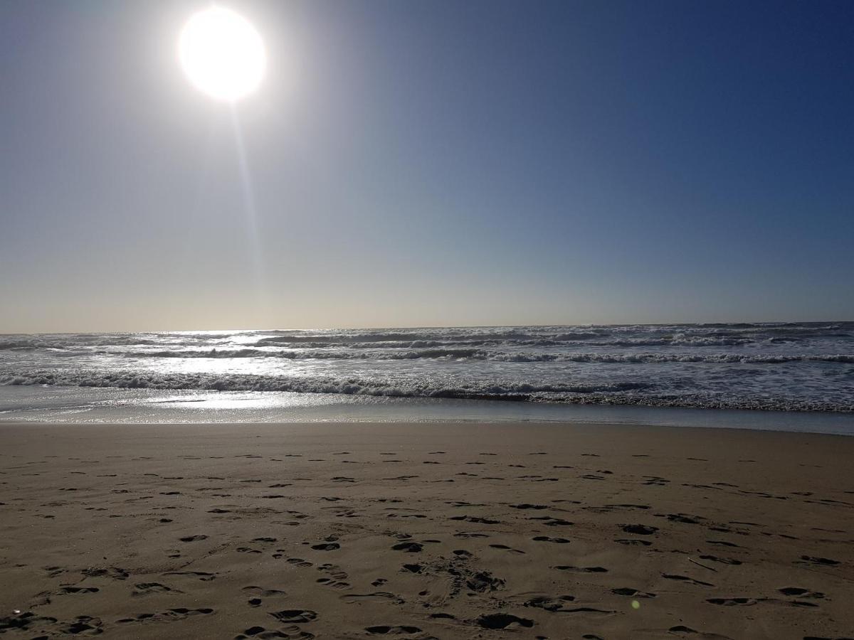 Villa Rimini - Seaview & Roman Holidays Apartments - Garden&Beach 300Mt Anzio Extérieur photo