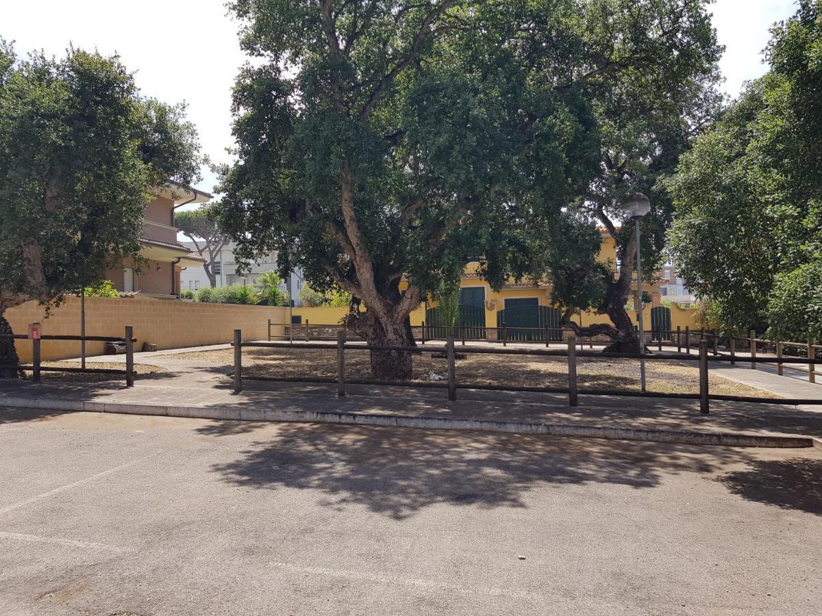 Villa Rimini - Seaview & Roman Holidays Apartments - Garden&Beach 300Mt Anzio Extérieur photo
